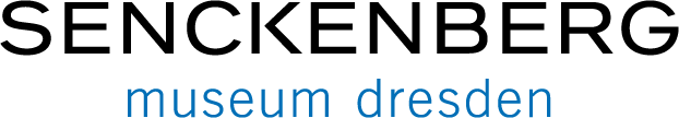 senckenberg museum dresden Logo