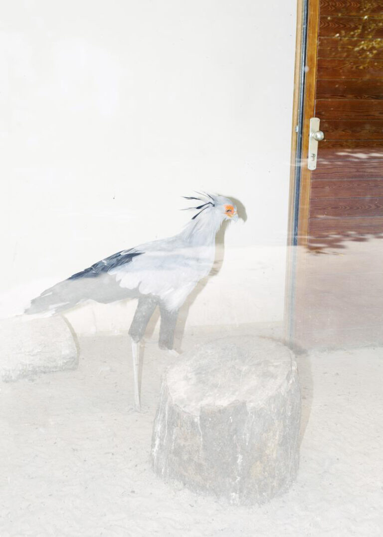 Giulia Degasperie, "On Display"